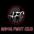Animal Fight Club游戏