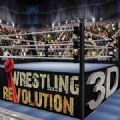 摔跤革命3D游戏