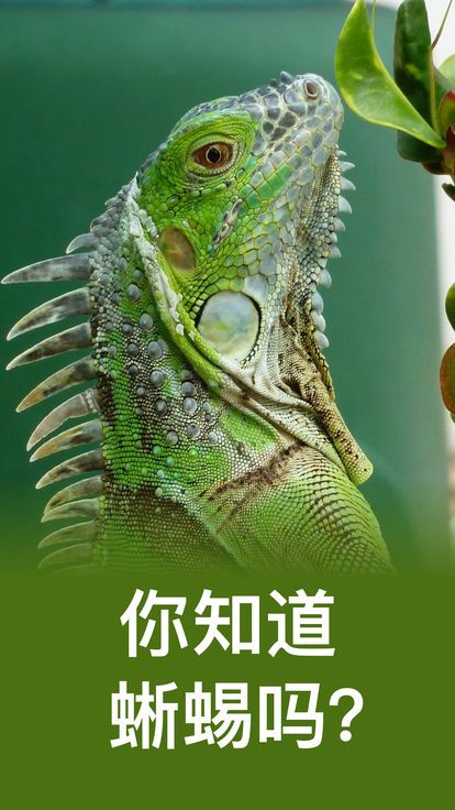 动物学测验游戏中文安卓版下载图片1