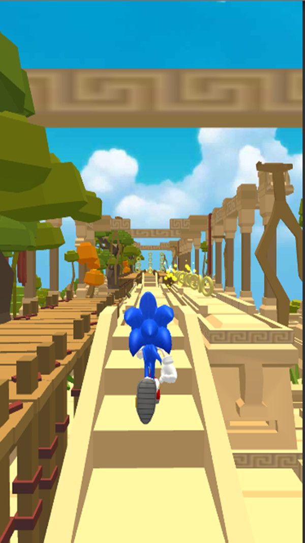 Super Sonic Rush破解版游戏特色图片