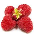 红莓钱包app