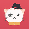 叮咚猫贷款app