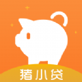 猪小贷app