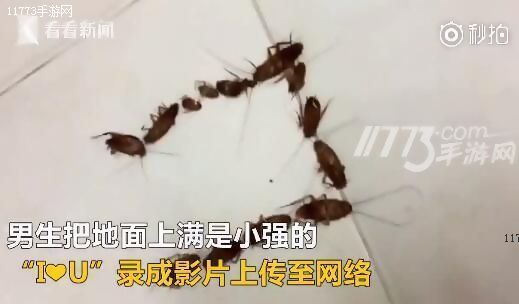 越南男子用蟑螂告白遭拒 网友：注孤生![多图]图片2