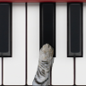 猫钢琴app