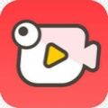 河豚小视频app