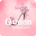 queen女王宝盒视频