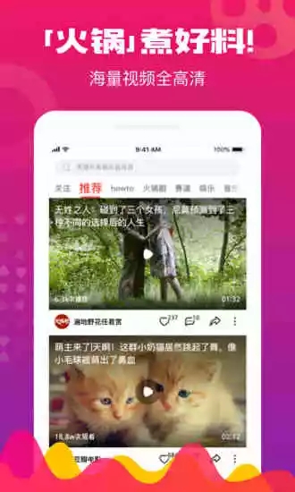 火锅视频app