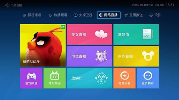 小鹰直播app