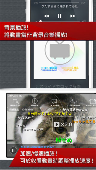 NicoNico