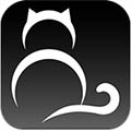 夜猫台球app