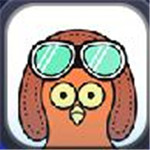 鸽叽app安卓版