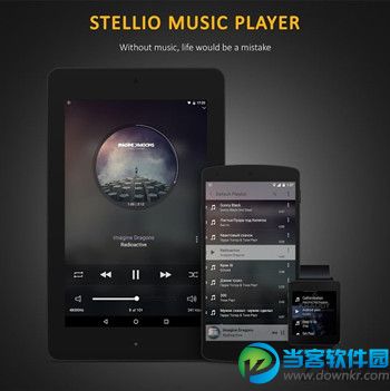 蜥蜴音乐播放器App