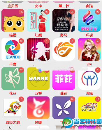 恋夜聚合app