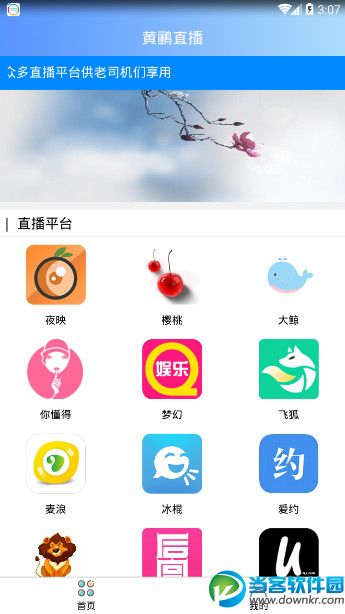 黄鹂直播盒子app安卓版