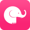 大象视频app最新版