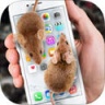 手机养老鼠软件