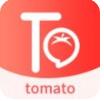 番茄直播app最新二维码官网版下载安装v3.3.7安卓IOS版