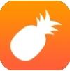 菠萝视频最新苹果无限制版下载安装v2.4.1安卓IOS版