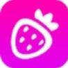 草莓视频app在线无限观看iPhone版下载地址v4.3.9安卓IOS版