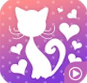猫小姐直播app安卓客户端下载v5.4.1破解版