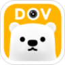DOV1.3.3