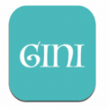 Gini v1.0.0
