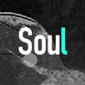 Soul v3.11.0