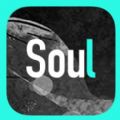 soul灵魂匹配 v3.1.2