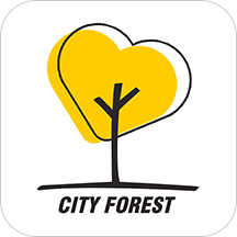 城市森林 v1.2.1
