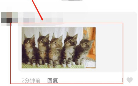 抖音五只猫摇头的动态图片分享：一排小猫摇头表情包[多图]图片6