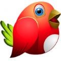 红鸟直播手机版app