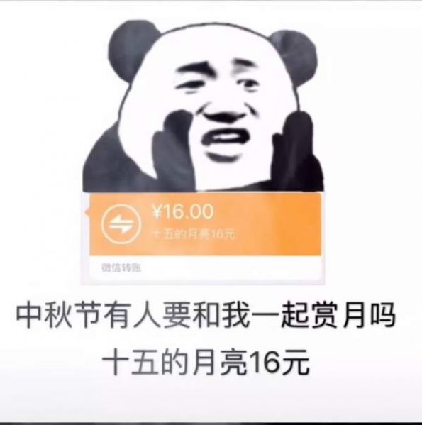 微信十五的月亮十六元是什么梗？十五的月亮十六元搞笑图片分享[多图]图片2