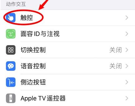 ios14怎么使用敲击后盖截屏功能？轻点背面截图方法[多图]图片4